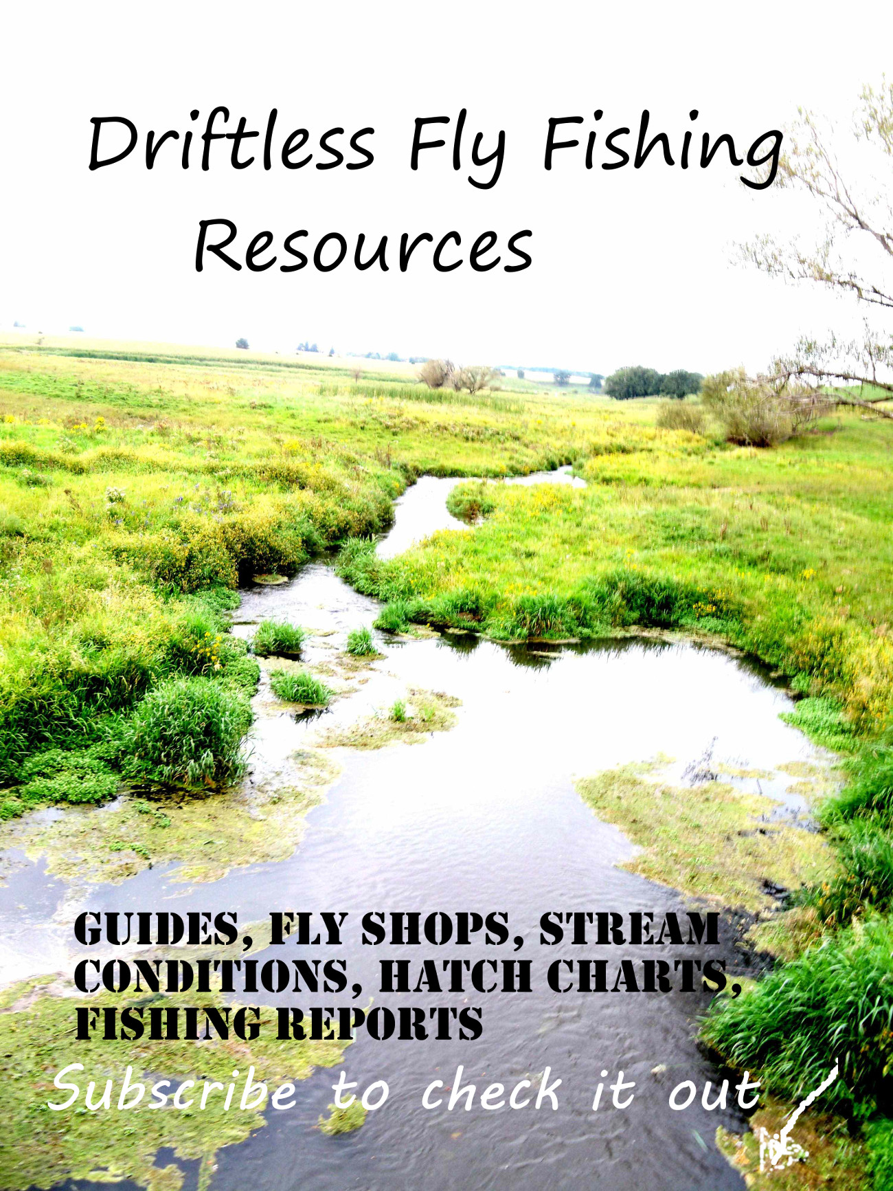 Top Flies for Driftless Area Trout: Guides, Fly Shop Owners, and